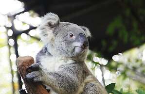 Vdara Pool Resort and Spa