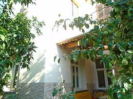 Lotus Garden Hostel