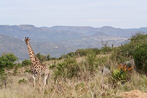 Valley Lodge - Babanango Game Reserve