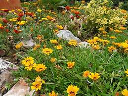 Bed & Breakfast Casa don Carlos