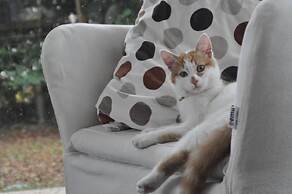 La Mansarda di Margherita