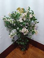 Jin Hua Cold Spring Hotel