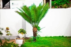 Résidence Soleil Levant