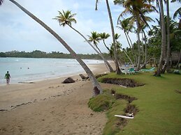 Magic Nature at Las Terrenas