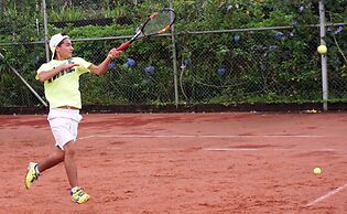 Lucero - Luxury Treehouses