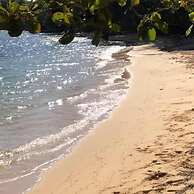 Tryall Gardens Escape