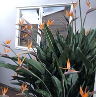 Auckland GQ Holiday Home