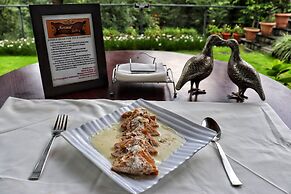 Lamrin Norwood Green Palampur