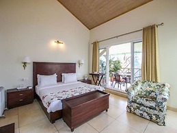 Lamrin Norwood Green Palampur