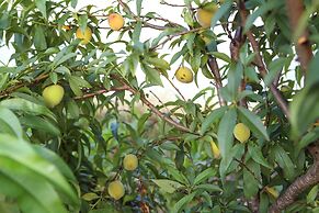 Pousada Vale da Montanha