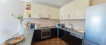 Luxury villa Imperial - with the vineyard views