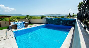 Luxury villa Imperial - with the vineyard views