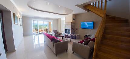 Luxury villa Imperial - with the vineyard views