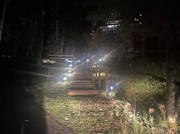 Unforgettable Dreams