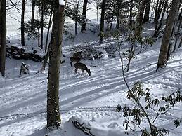 Unforgettable Dreams