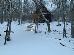 Unforgettable Dreams