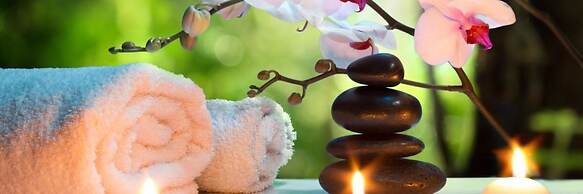 Gites du Domaine de Vandenesse & Spa