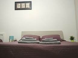 Start-line Airport Pisa