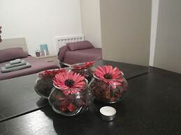 Start-line Airport Pisa