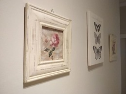 Start-line Airport Pisa