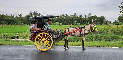 Borobudur Bed & Breakfast - Hostel