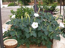 Agriturismo I Trulli di Zio Dino