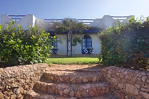 Un Thé Au Bout Du Monde