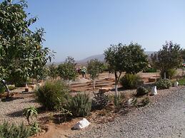 Un Thé Au Bout Du Monde