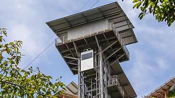 Hazyview Buffalo Game Lodge