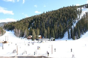 Ski Run 201