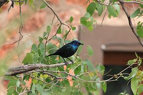 Onduri Lodge - In Okaukuejo