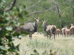 Onduri Lodge - In Okaukuejo