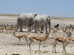 Onduri Lodge - In Okaukuejo