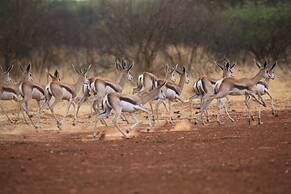 Onduri Lodge - In Okaukuejo