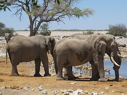 Onduri Lodge - In Okaukuejo