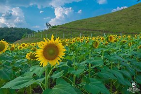 Hacienda San Vicente