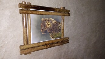 Grassroots Cottages & Tours