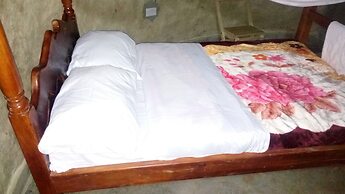 Grassroots Cottages & Tours