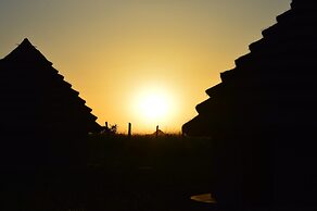 Grassroots Cottages & Tours