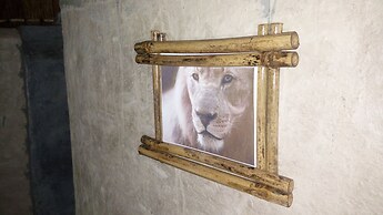 Grassroots Cottages & Tours