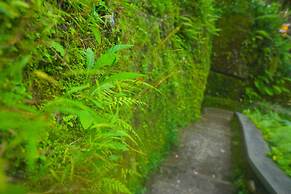 Villa Annapurna Bali