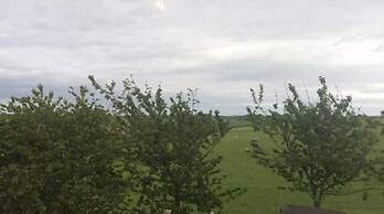 Hillcrest House Bed & Breakfast