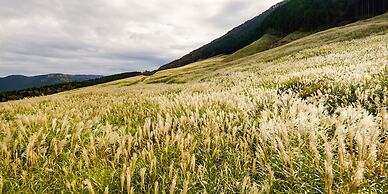 Hakone Onsen Yuyado Yamanosyou