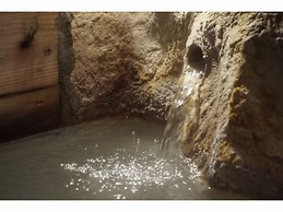 Hakone Onsen Yuyado Yamanosyou