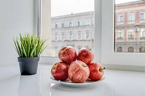 Sokroma Black Elephant Aparts