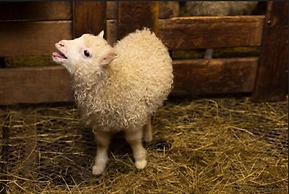 Hunkubakkar Guesthouse