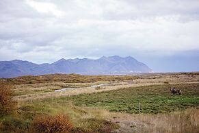 Hestaland Guesthouse Horse Farm Stay