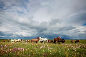 Hestaland Guesthouse Horse Farm Stay