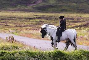 Hestaland Guesthouse Horse Farm Stay
