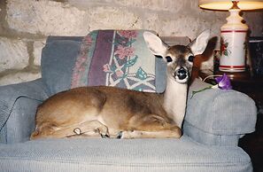 Kuebler Waldrip Haus B&B